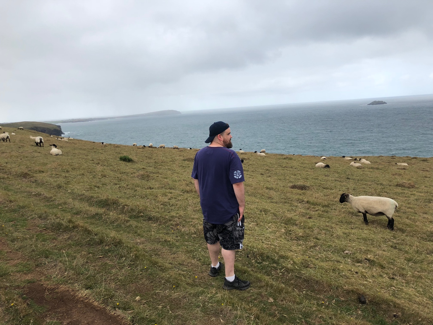 Me and some sheep, near Hawkers Cove. My cap is backwards so you know I'm cool.