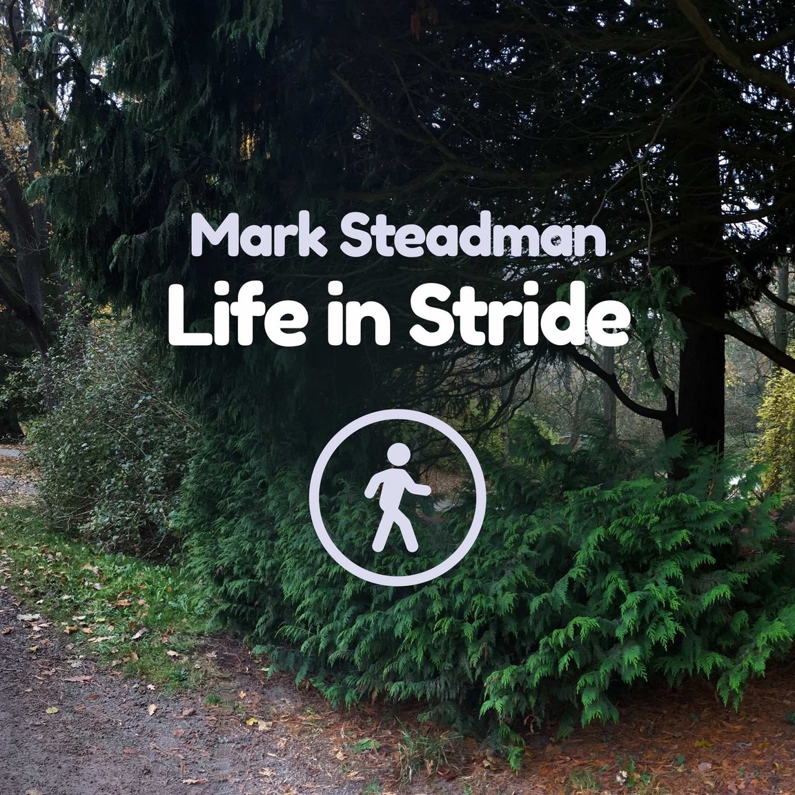 Life in Stride thumbnail